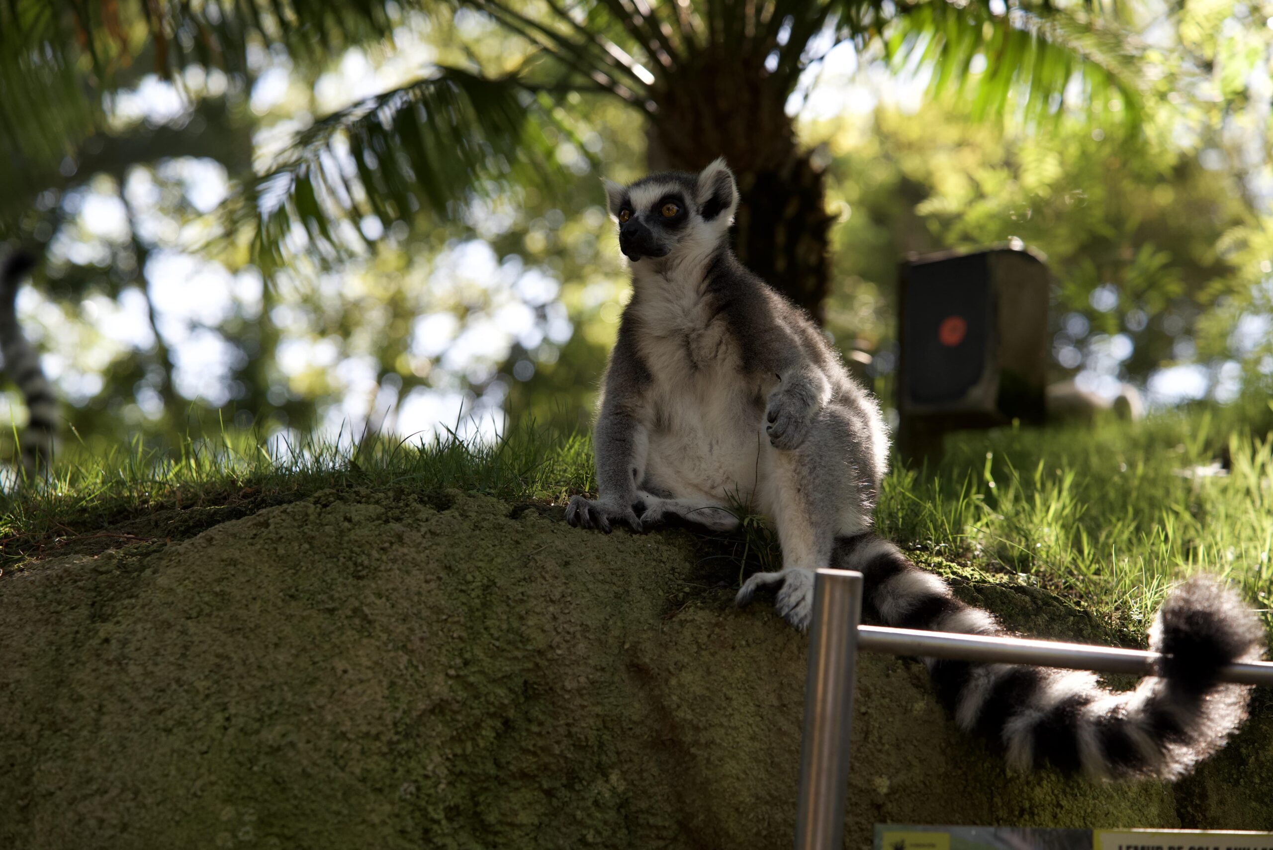 Biopark Valencia - Immersive “Zoo Without Barriers” Experience