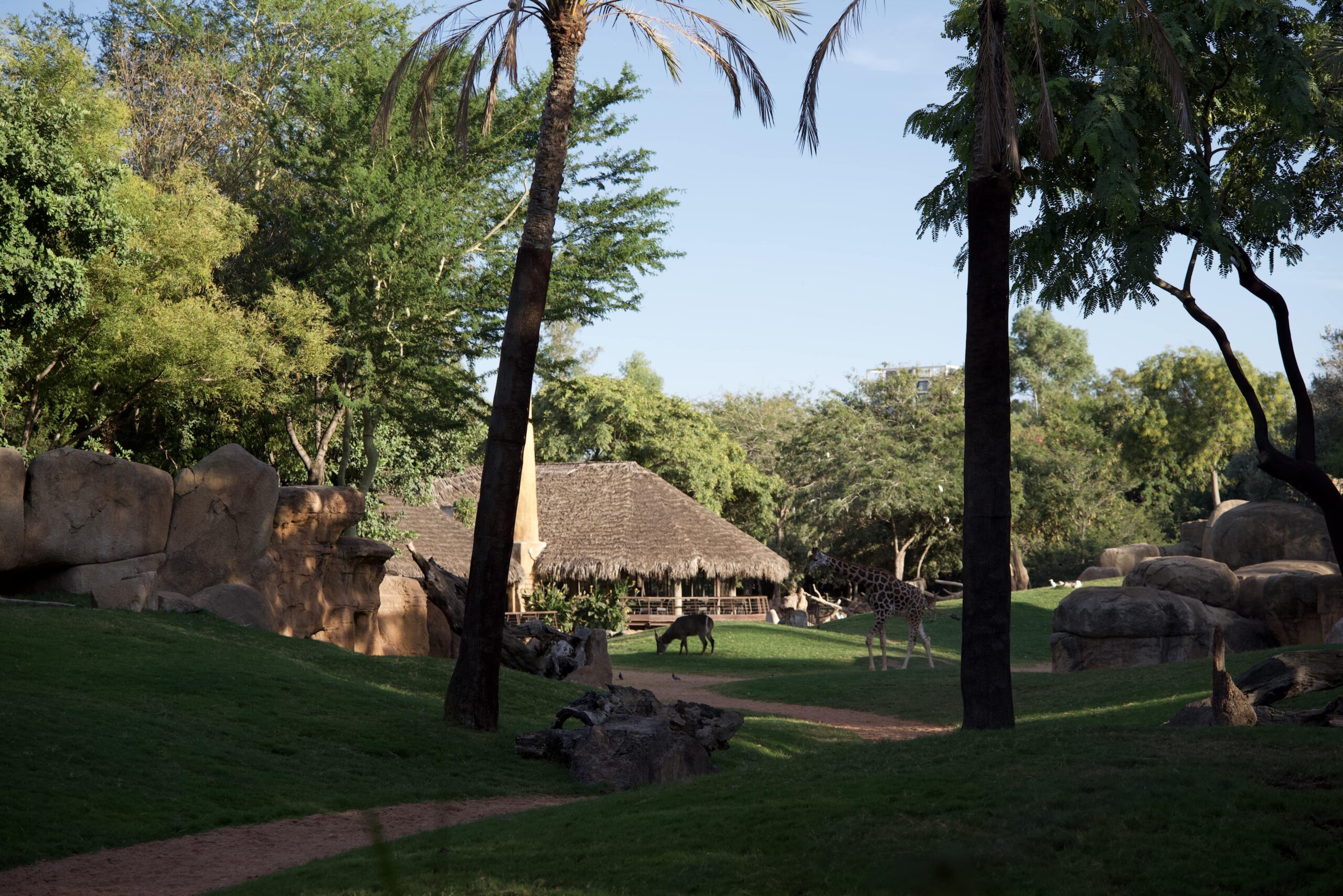 Biopark Valencia Perfect for Families and First-Time Visitors