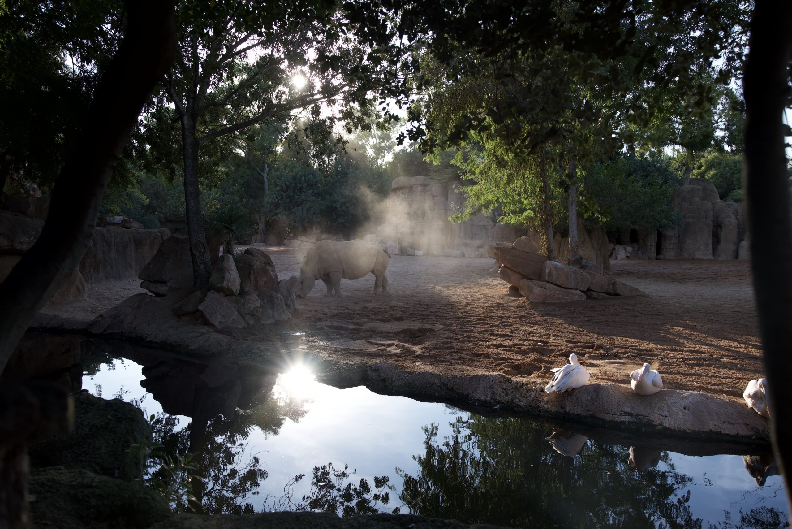 Biopark Valencia is Ethical, Educational, and Meaningful